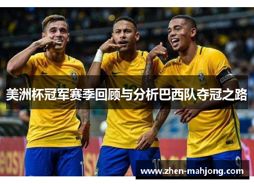 美洲杯冠军赛季回顾与分析巴西队夺冠之路