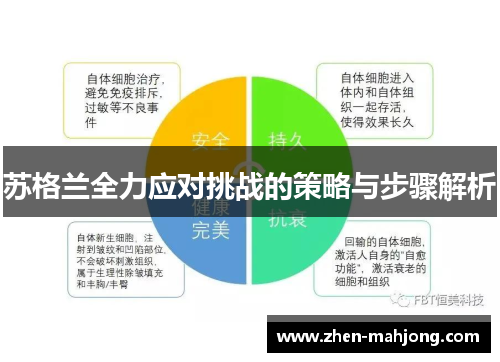 苏格兰全力应对挑战的策略与步骤解析 苏格兰全力应对挑战的策略与步骤解析
