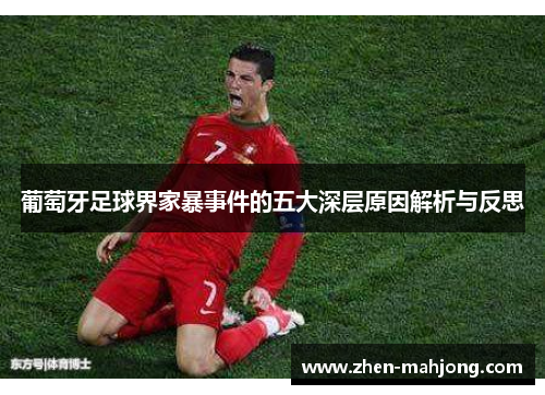 葡萄牙足球界家暴事件的五大深层原因解析与反思