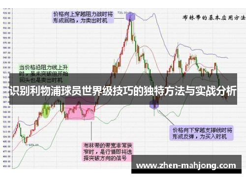 识别利物浦球员世界级技巧的独特方法与实战分析 识别利物浦球员世界级技巧的独特方法与实战分析