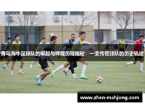 青岛海牛足球队的崛起与辉煌历程揭秘:一支传奇球队的历史轨迹 青岛海牛足球队的崛起与辉煌历程揭秘:一支传奇球队的历史轨迹